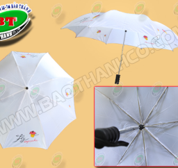 DÙ GẤP 2  TỰ ĐỘNG R60
