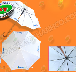 DÙ CẦM TAY THẲNG TỰ ĐỘNG R60