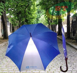 DÙ SẲT CÁN NHỰA R60CM