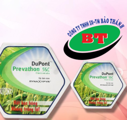 in kĩ thuật số trên nhựa pp - decal 