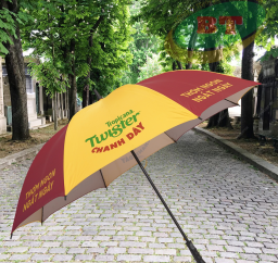 DÙ CẦM TAY THÂN SẮT R75