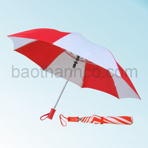 DÙ GẤP 2 CÁN NHỰA R60-02