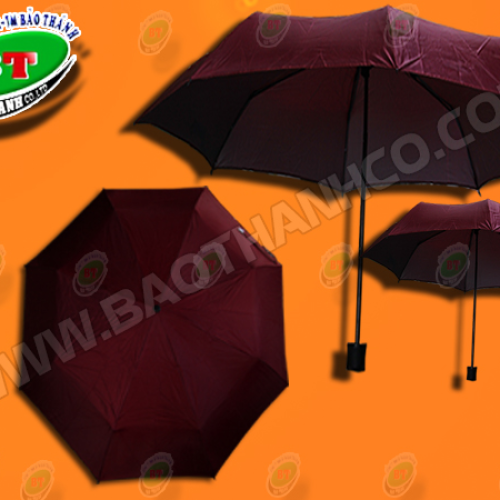 DÙ CẦM TAY THẲNG TỰ ĐỘNG R70