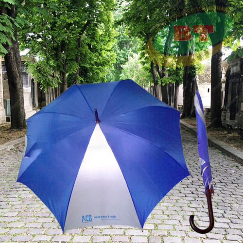DÙ SẲT CÁN NHỰA R60CM