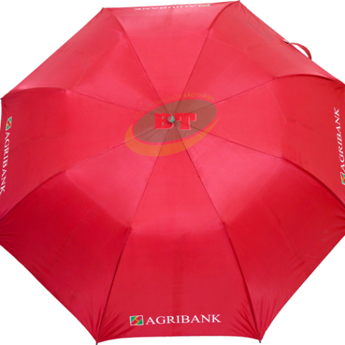 Dù Cán Gỗ 60