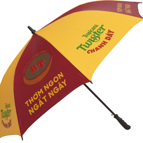 DÙ CẦM TAY THÂN SẮT R75