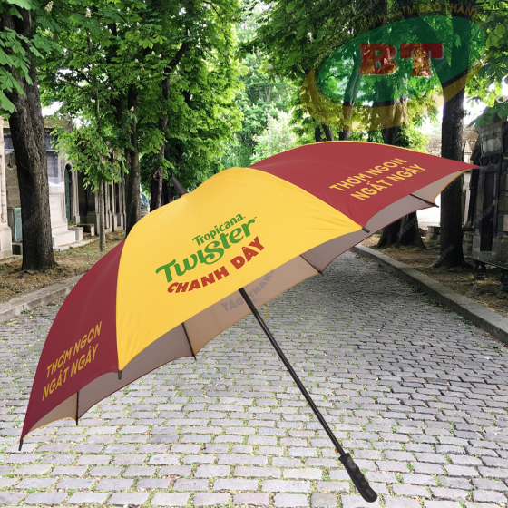 DÙ CẦM TAY THÂN SẮT R75